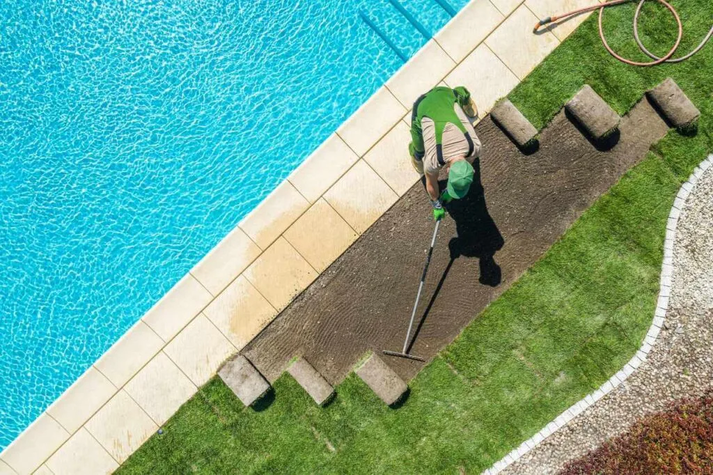 landscaping of plunge pool