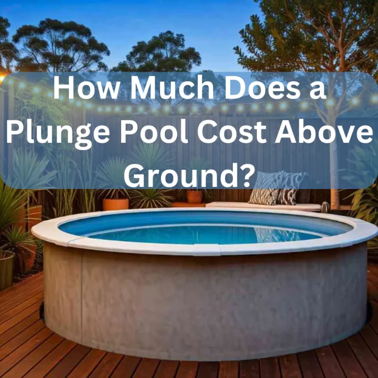 How Much Does a Plunge Pool Cost Above Ground?