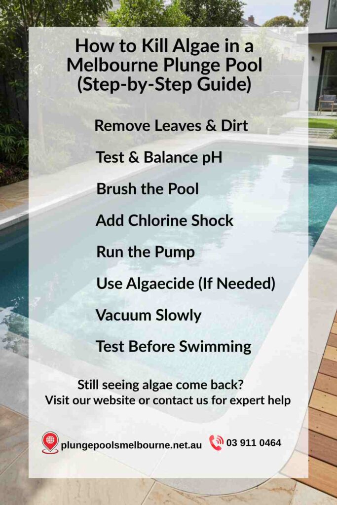 how to kill algae in a melbourne plunge pool