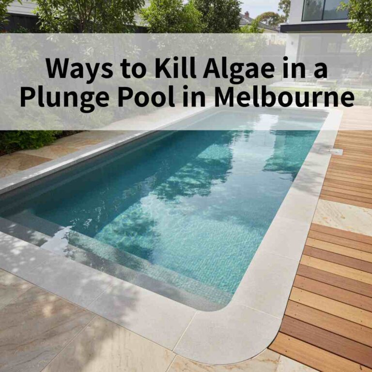Ways to Kill Algae in a Plunge Pool in Melbourne